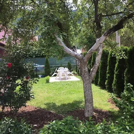 In The Nature * Ilidža